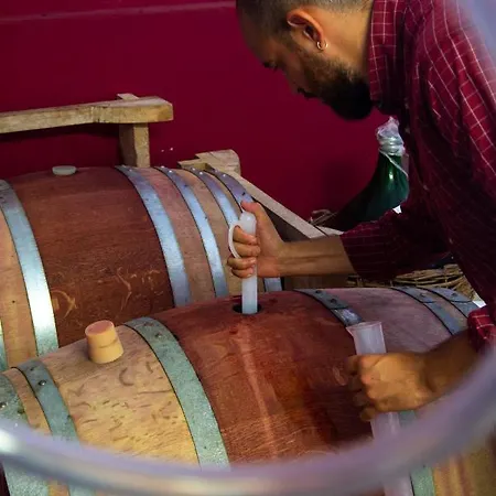 Vakantieboerderij Colle Vento *