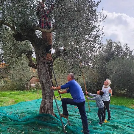 Colle Vento Vakantieboerderij