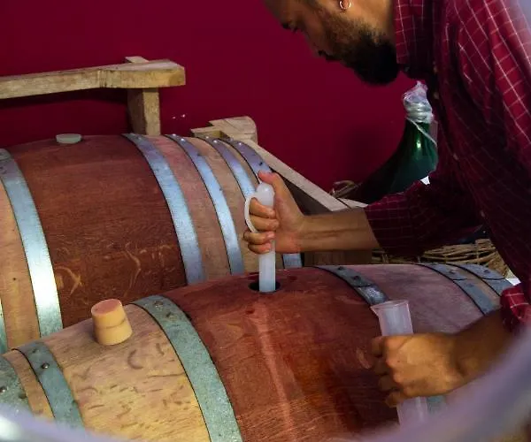 Lantgård Agriturismo Colle Vento *