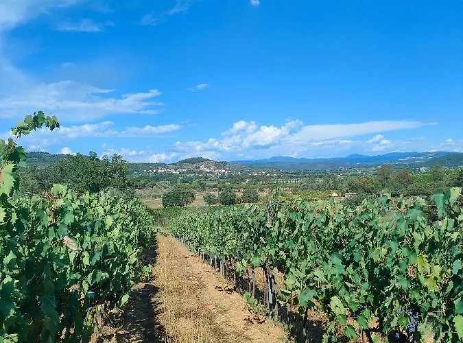 Agriturismo Colle Vento Lantgård *