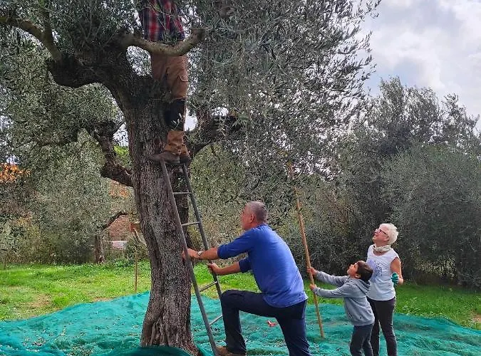 Agriturismo Colle Vento Lantgård