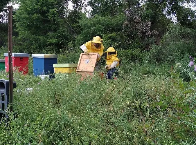 Lantgård Agriturismo Colle Vento