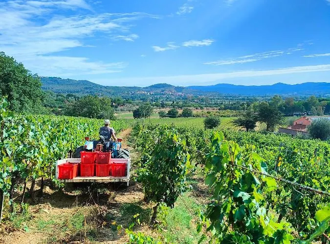 Agriturismo Colle Vento Lantgård