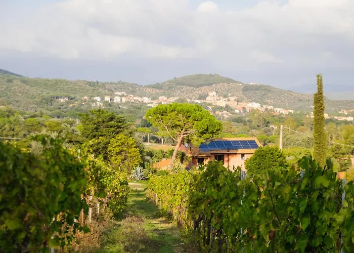 Agriturismo Colle Vento Suvereto